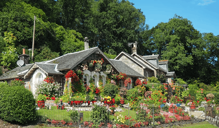 Garden Maintenance